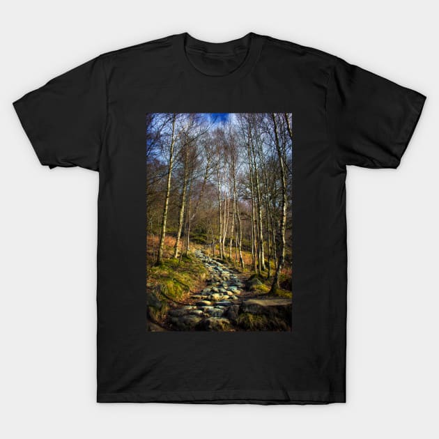 Way to Wander T-Shirt by InspiraImage